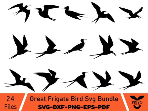 Great Frigate Bird Svg Bundle: A Versatile Graphics Tool for Crafts